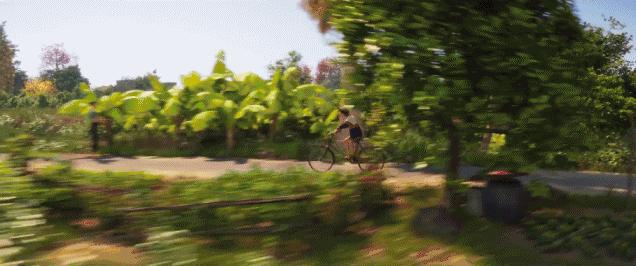 超前点映获8.3高分！口碑炸裂国漫上映，里面竟然有个南海→