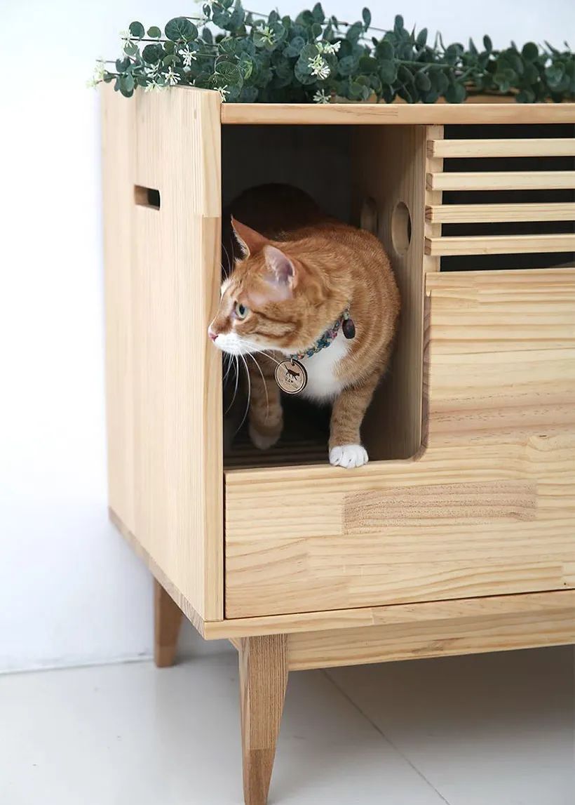 宠物设计用什么产品比较好,给宠物设计一款产品