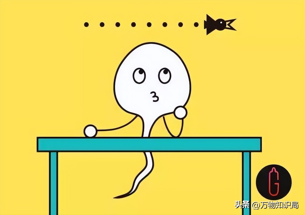 进入女性体内后，没“受精”成功的精子都去哪儿了？既好笑又心疼