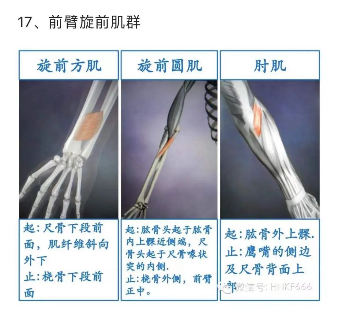 内旋发力的训练方法,羽毛球如何内旋发力