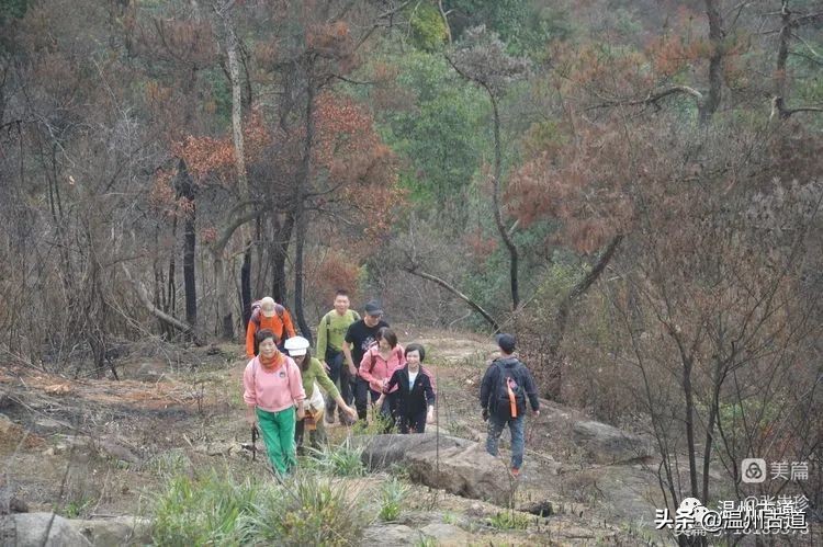 温州最高峰,温州十大最高山峰