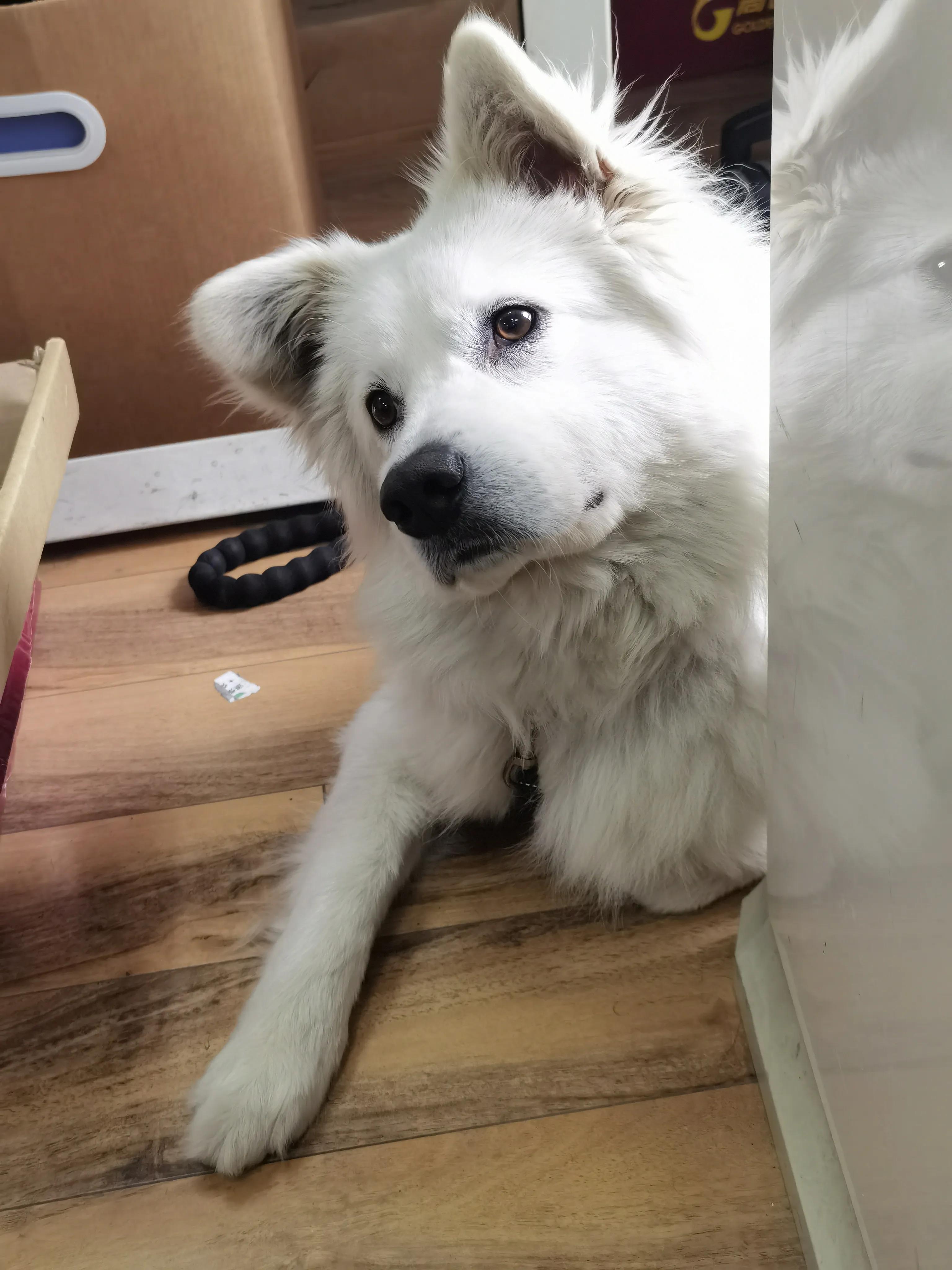 未来最最赚钱的几大行业,2023年最赚钱的七大行业