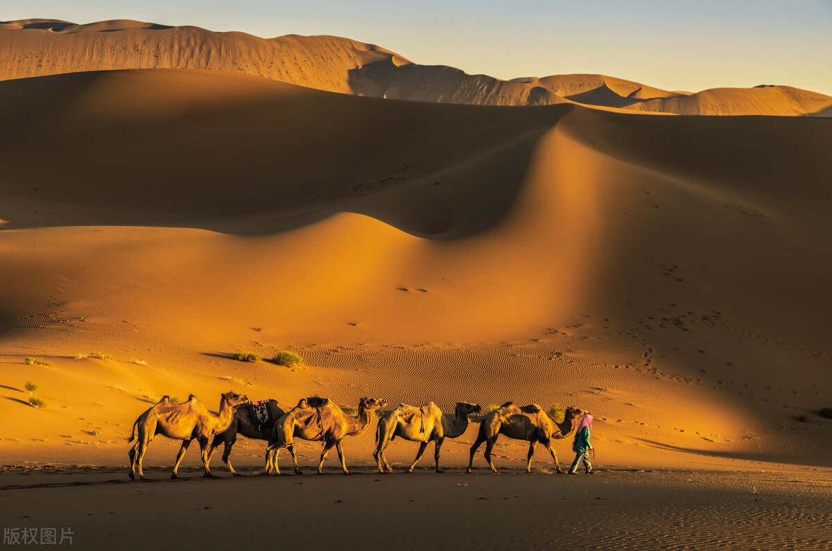 阿拉善旅游攻略必玩的景点地图,内蒙古阿拉善游玩攻略