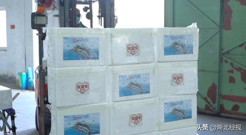 日拼万单！吃海鲜长大的青岛大虾“游”向全国