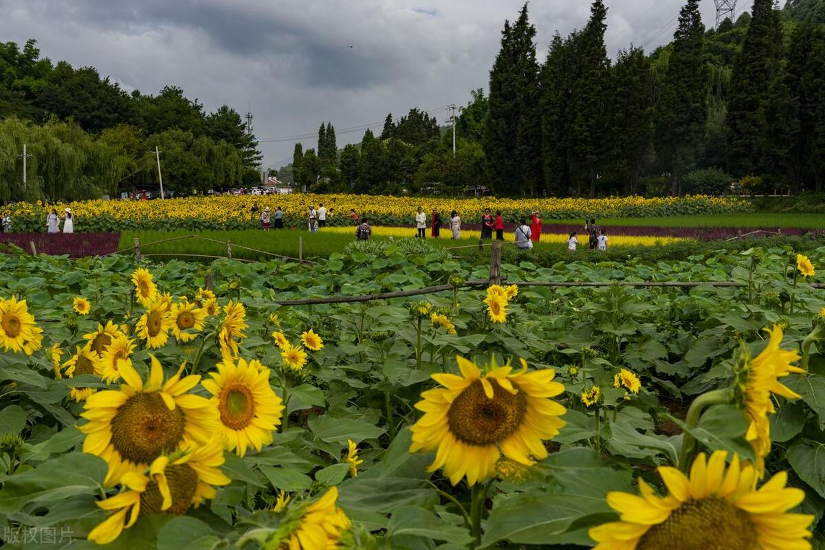 安宁市中国百强县排名2019,云南省第一县城安宁
