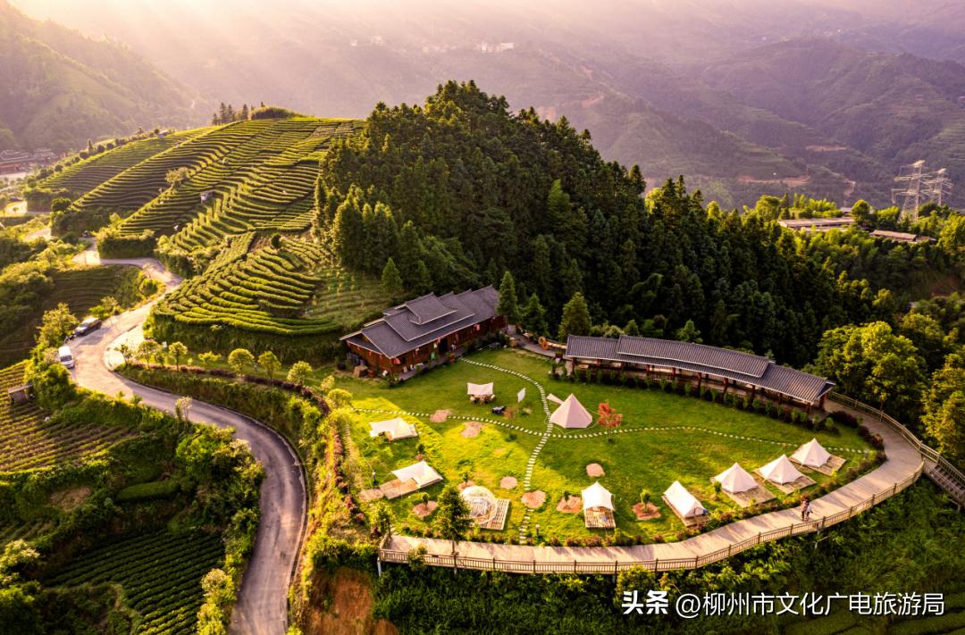 盛夏的风吹过茶园，穿过侗寨，在风情三江留恋不走~