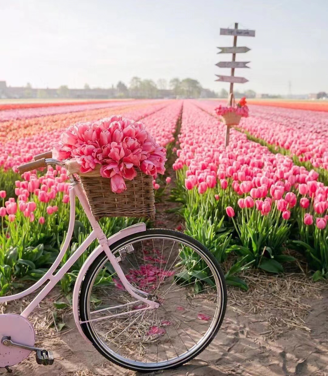 小娅个人资料80后,80后小娅