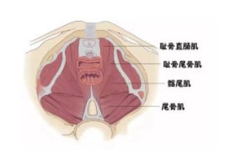 宝妈漏尿怎么安慰,漏尿是怎样的难言之隐