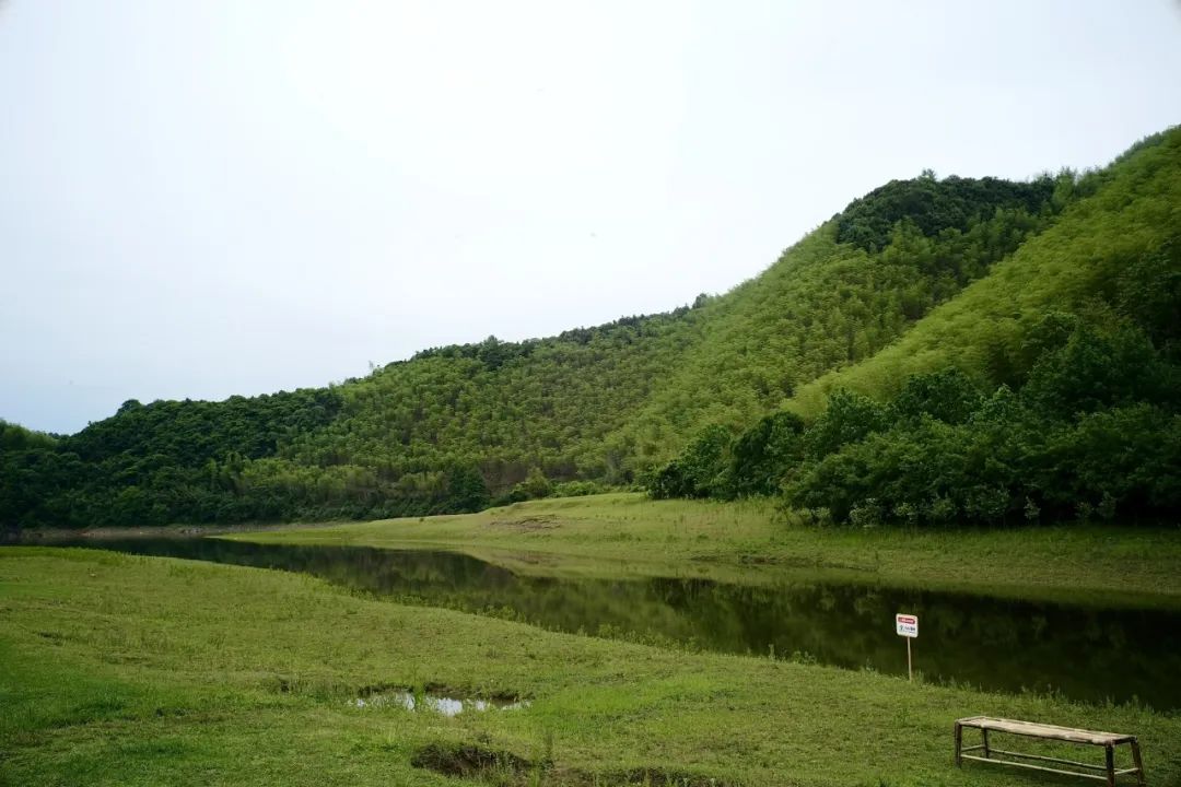 浙江市区度假酒店推荐,浙江轻奢酒店值得推荐