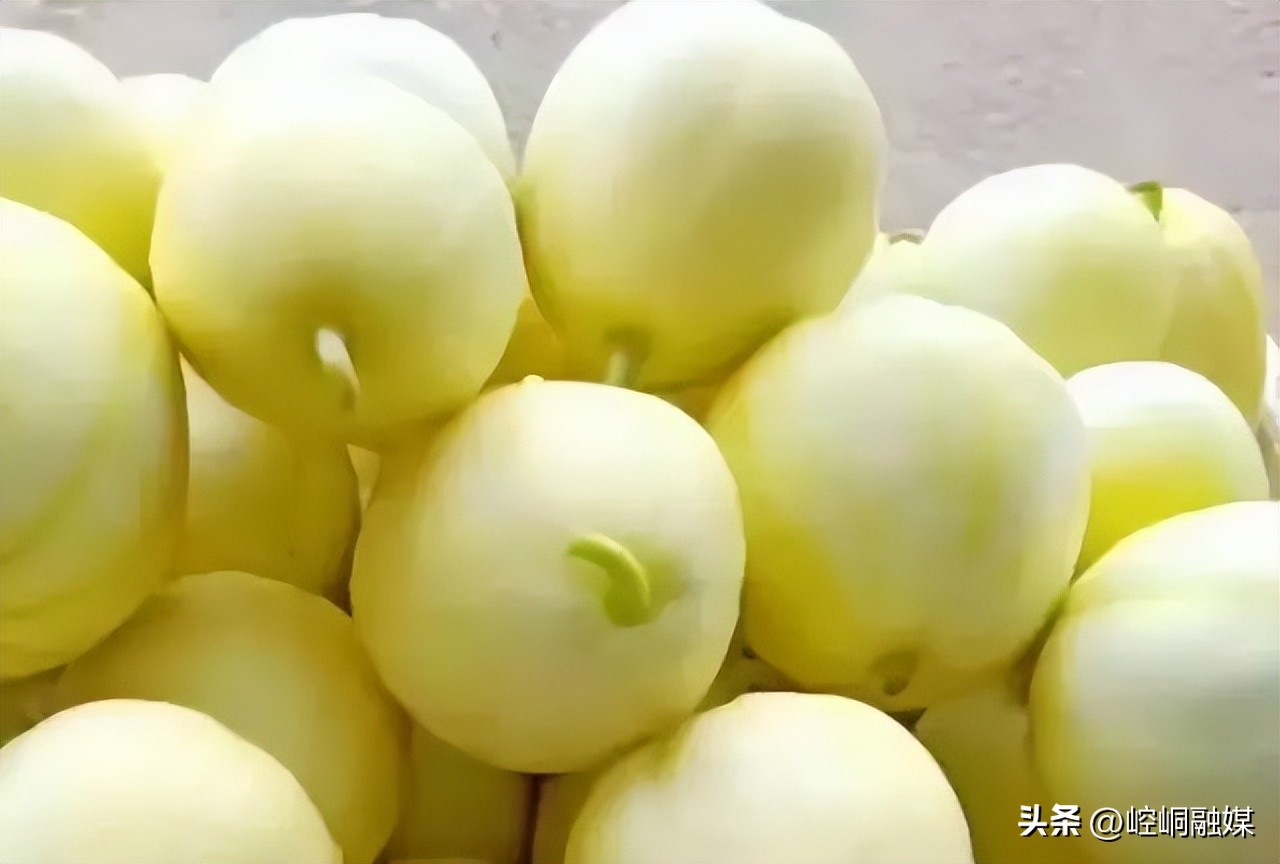 平凉泾川足球赛,甘肃泾川文汇足球赛视频