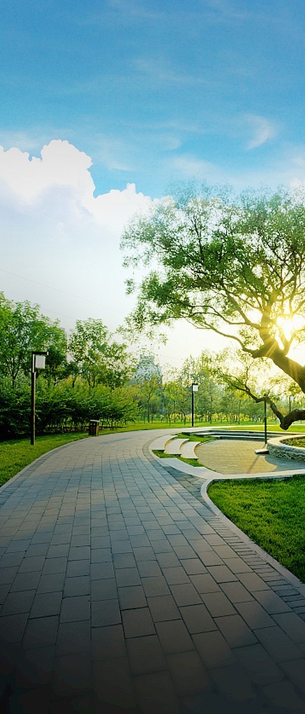 蔡家新消息,10号线蔡家交通利好