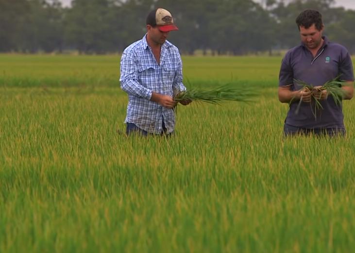 发达国家对农业多实行财政补贴,发达国家对农业的政策