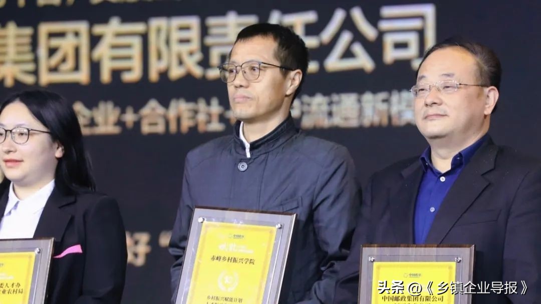 乡村振兴赋能计划人才典型案例,乡村振兴之文化振兴案例