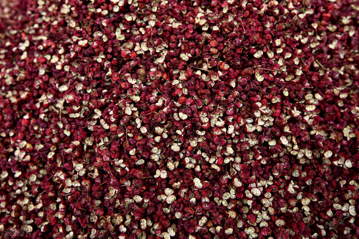 重庆磁器口古街游览,重庆磁器口古镇介绍