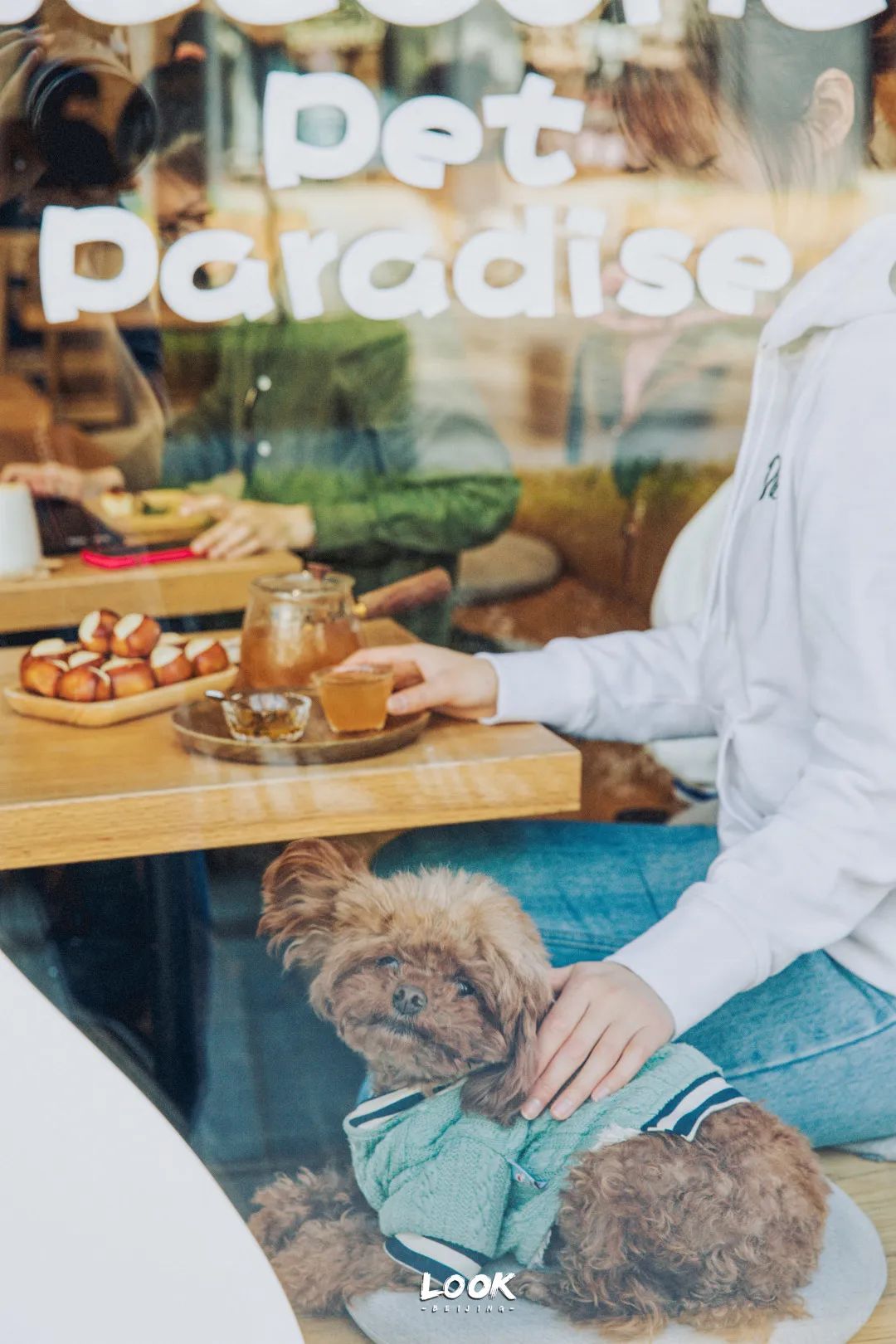 北京哪里有宠物店铺,宠物友好商城北京