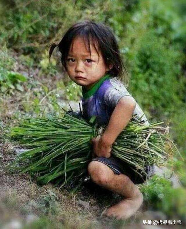 醉人的绿草原野,香浓的青草香