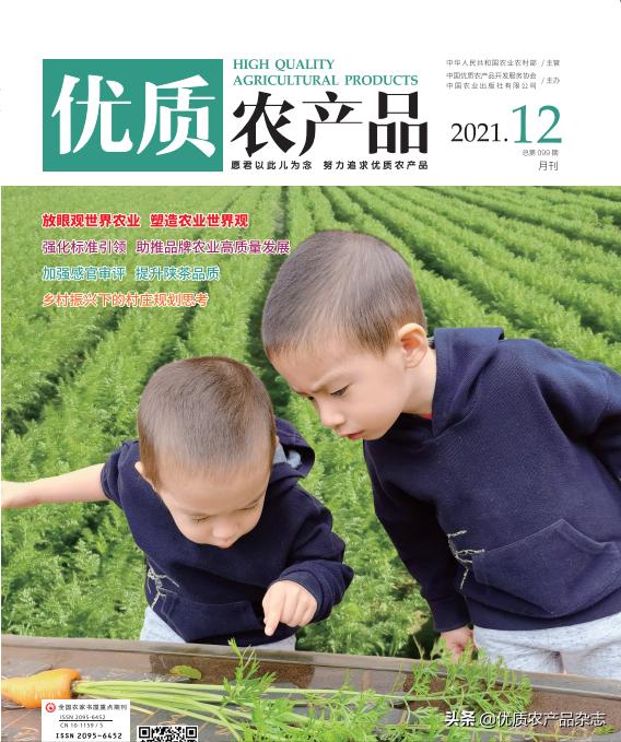 被称为绿色金子的特色蔬菜,被欧洲人称为绿色金子