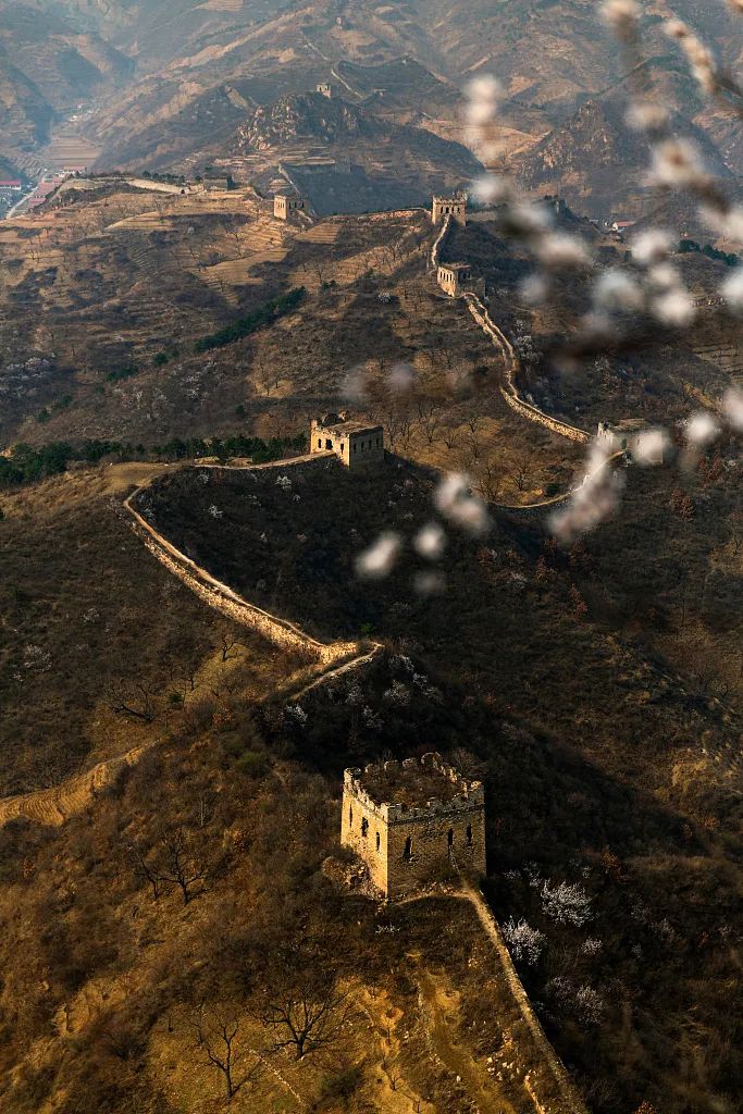 唐山大地震几级响应,唐山大地震死亡人数