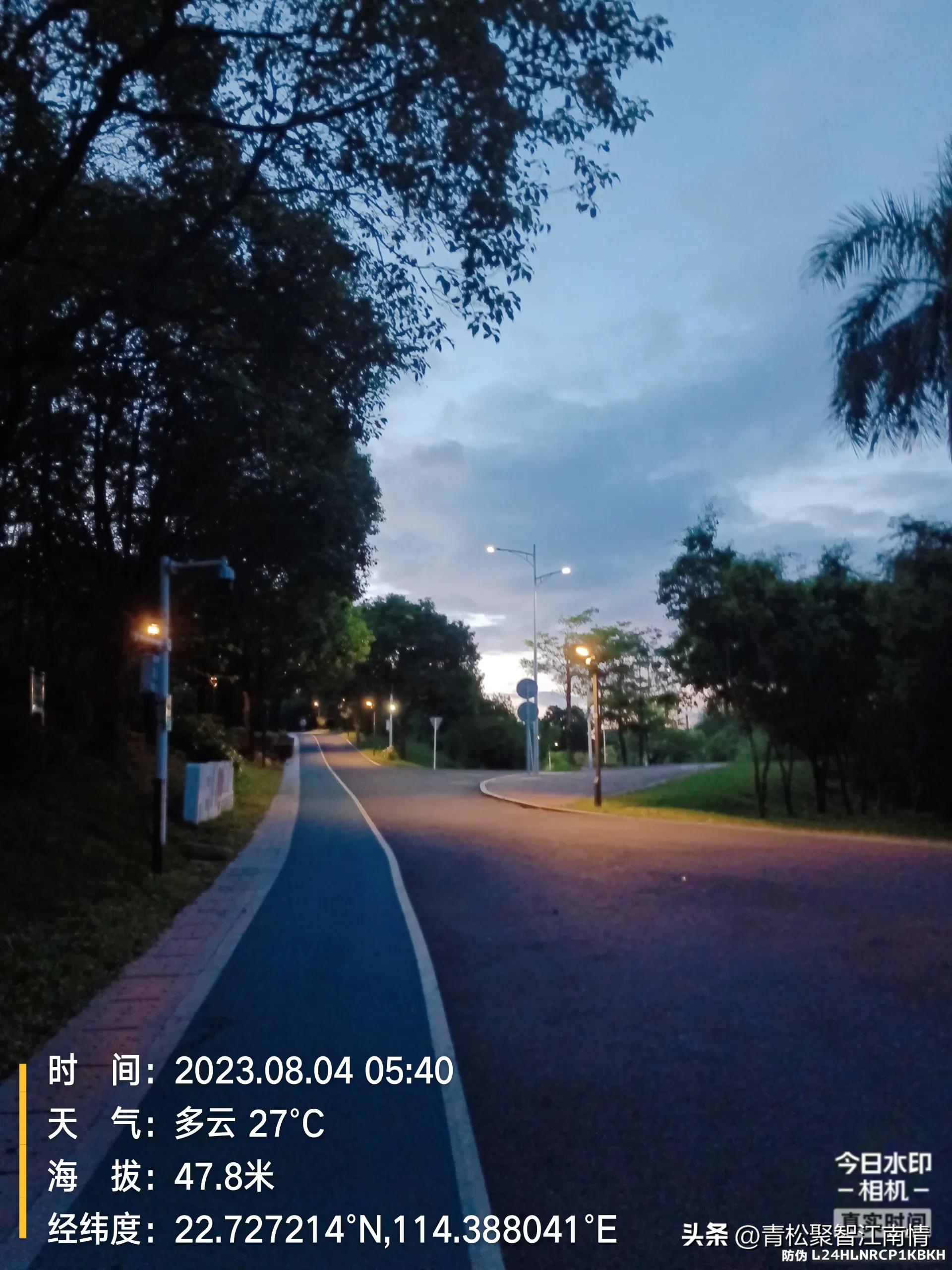 运动之神,运动之神排行榜