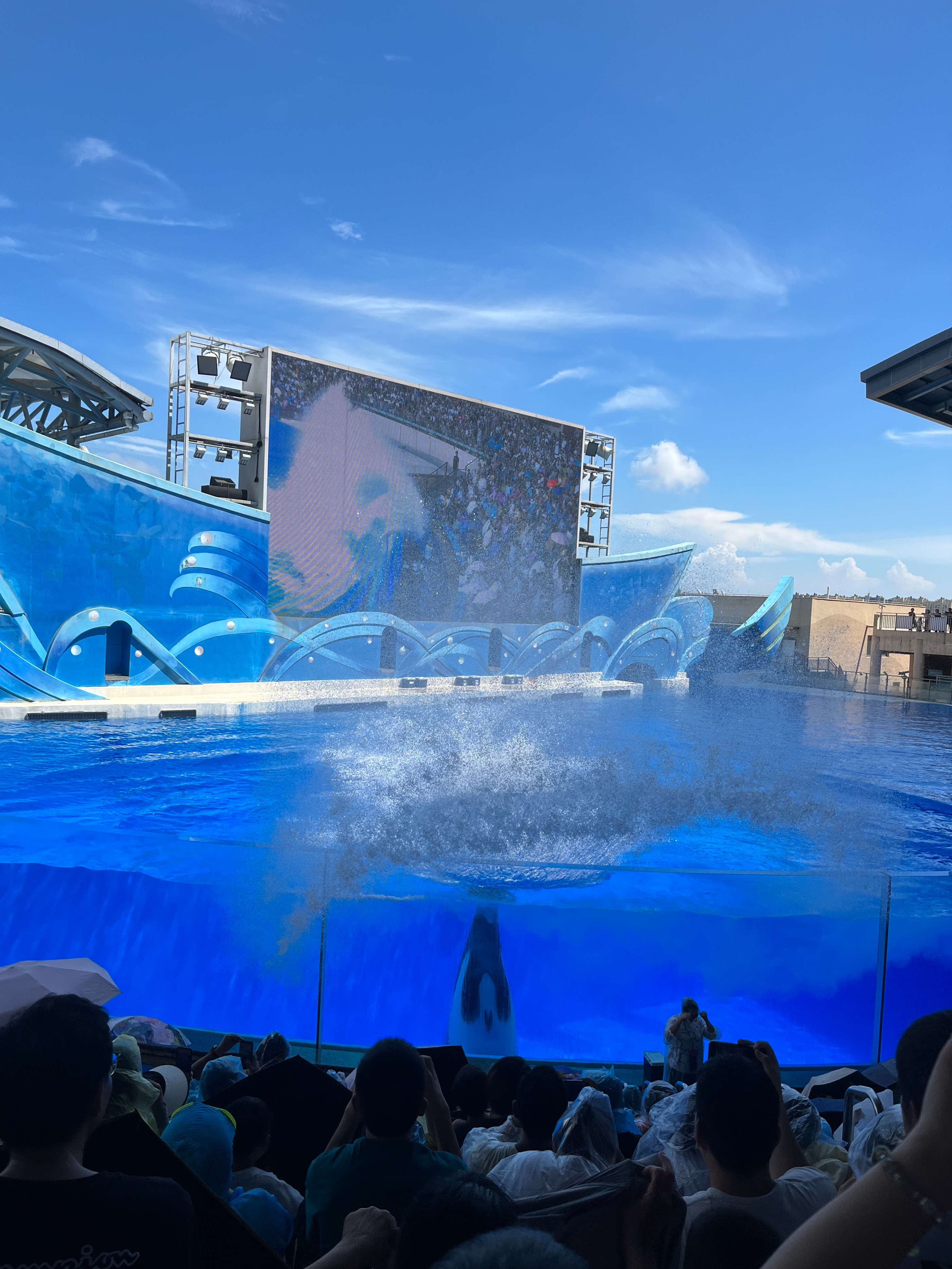 奥特曼主题馆上海海昌游玩攻略,日本奥特曼主题公园旅游