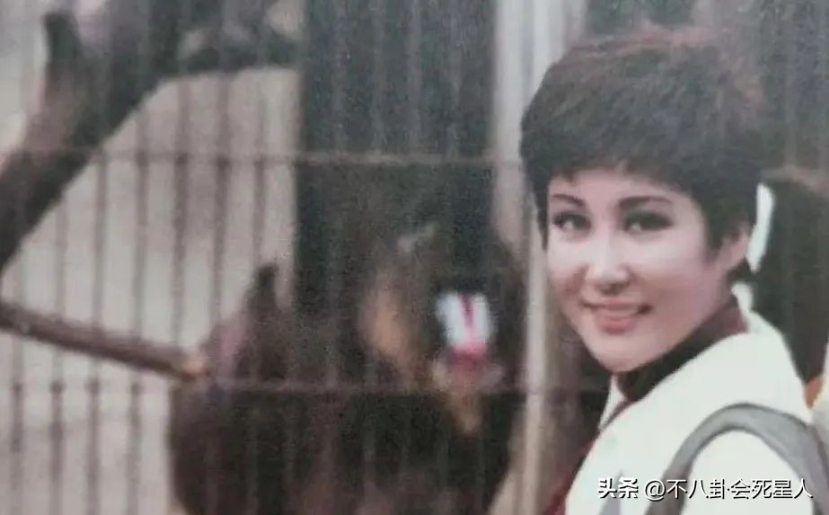 李小龙丁佩向华强陈岚的关系,向华强老婆是丁佩还是陈岚