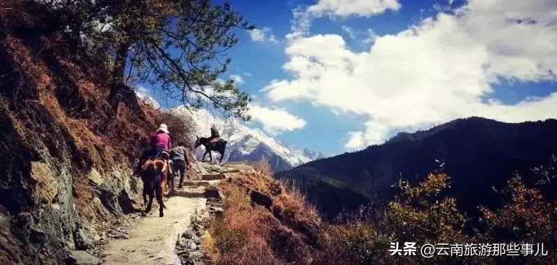 贵州和云南哪里适合避暑,一起享受云南避暑胜地