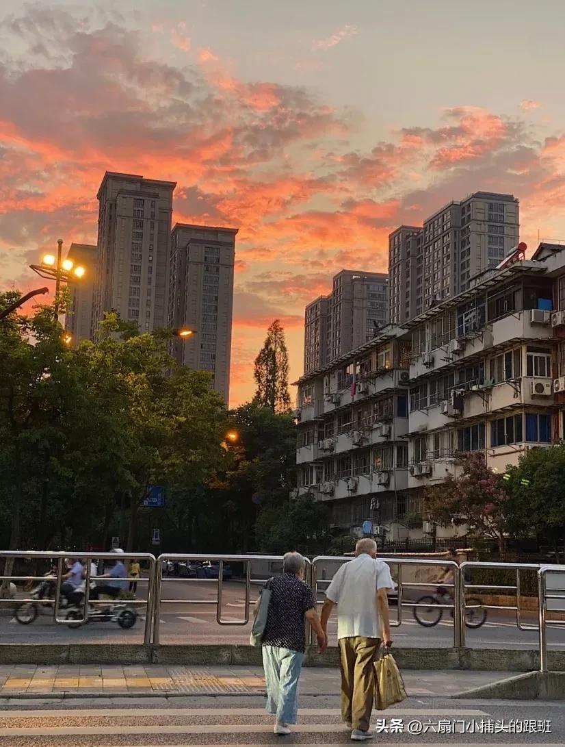 懂懂日记全文,懂懂日记公众号