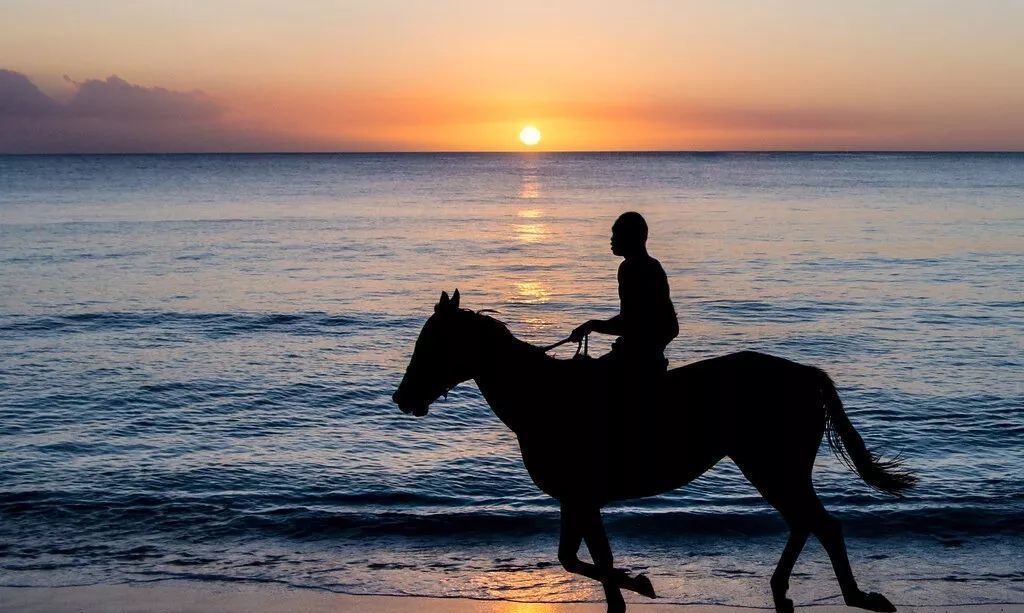 2023华杯赛夏令营,华誉外交官