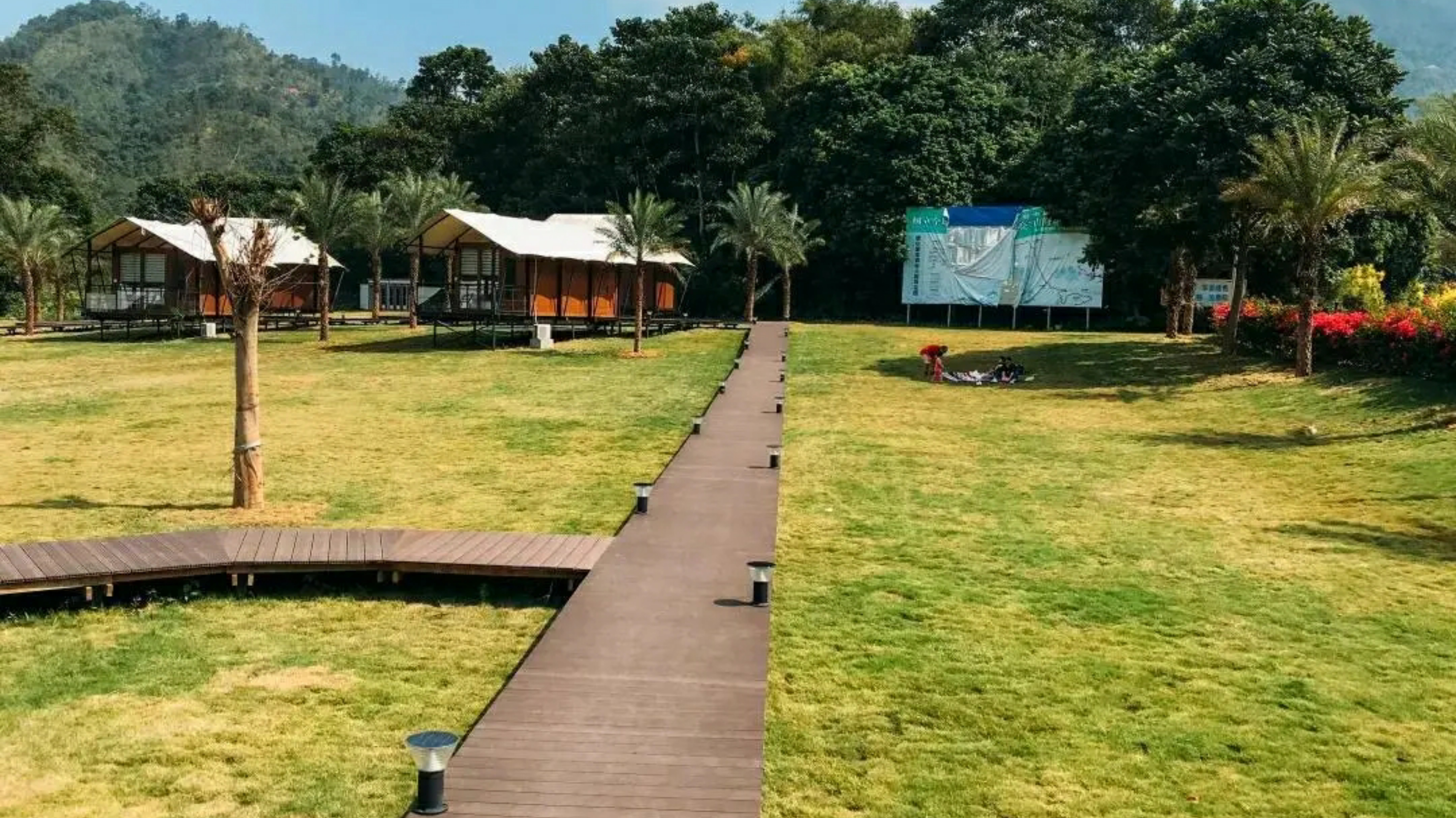 惠州赏梅花地方,惠州惠东梁化镇梅园