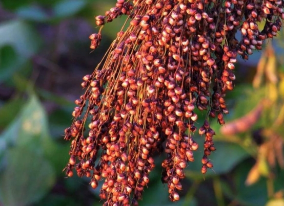 70后广东老板晒藏酒，竟因便宜引“群嘲”，行家：人家才是真识货