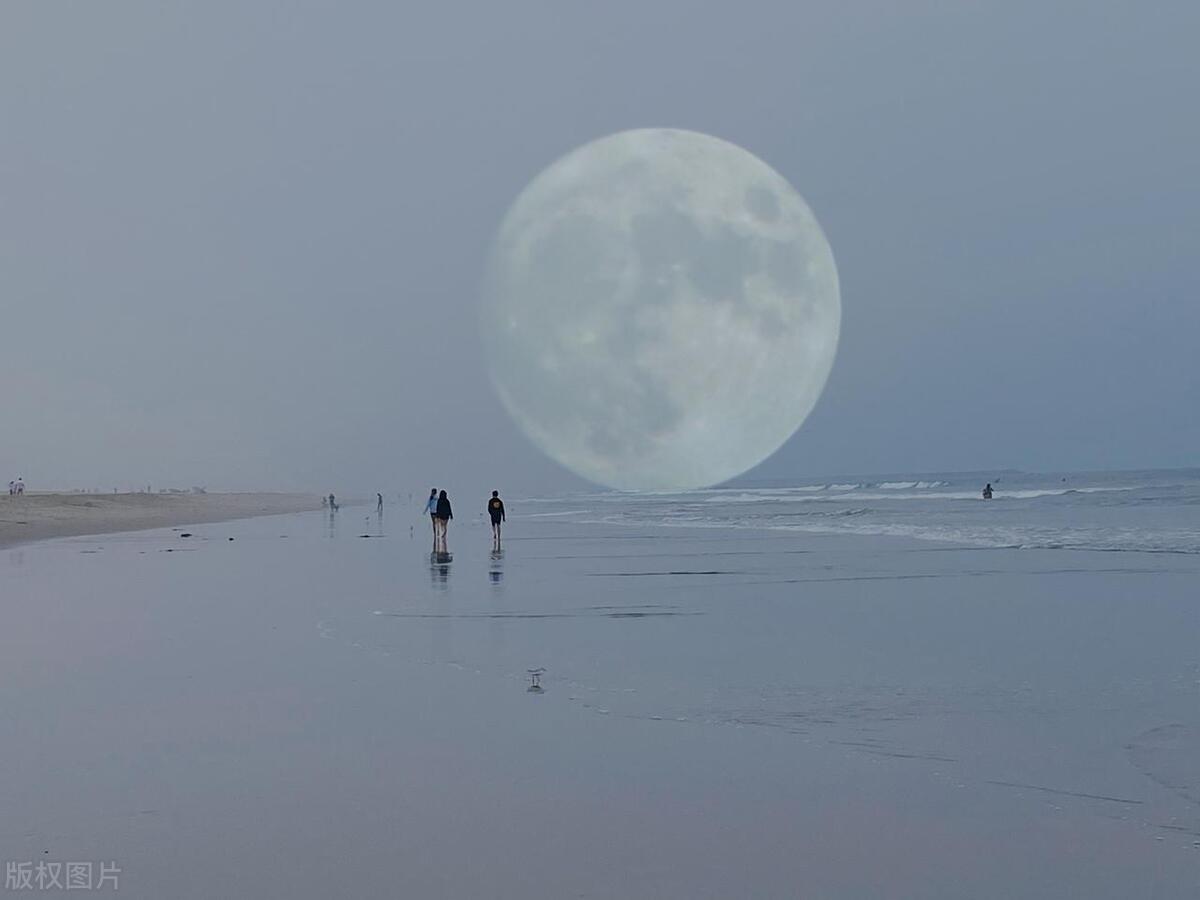 期货移仓换月怎么操作,期货01合约一般移仓到哪月