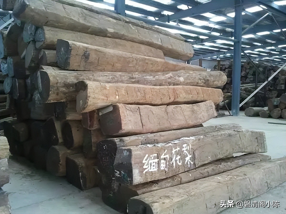 什么是大果紫檀大果紫檀怎么样,什么是大果