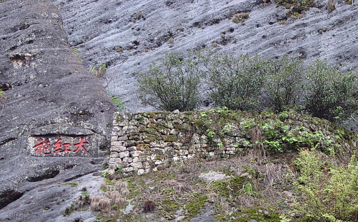 世界最著名的茶叶价格排行榜,世界上最贵的十种茶你肯定不知道