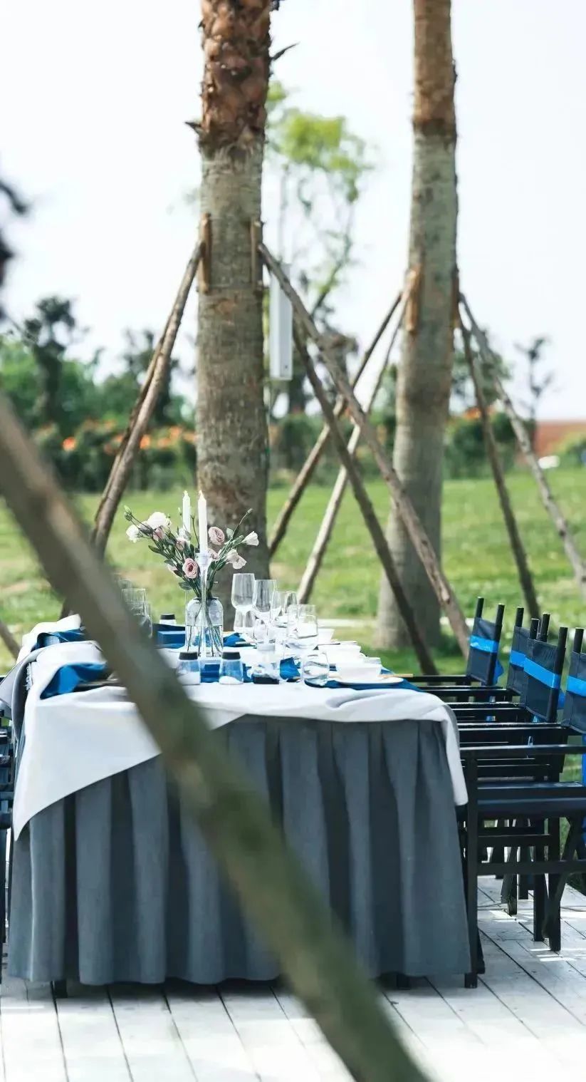 踏青露营地推荐,空港花田古朴森林露营地