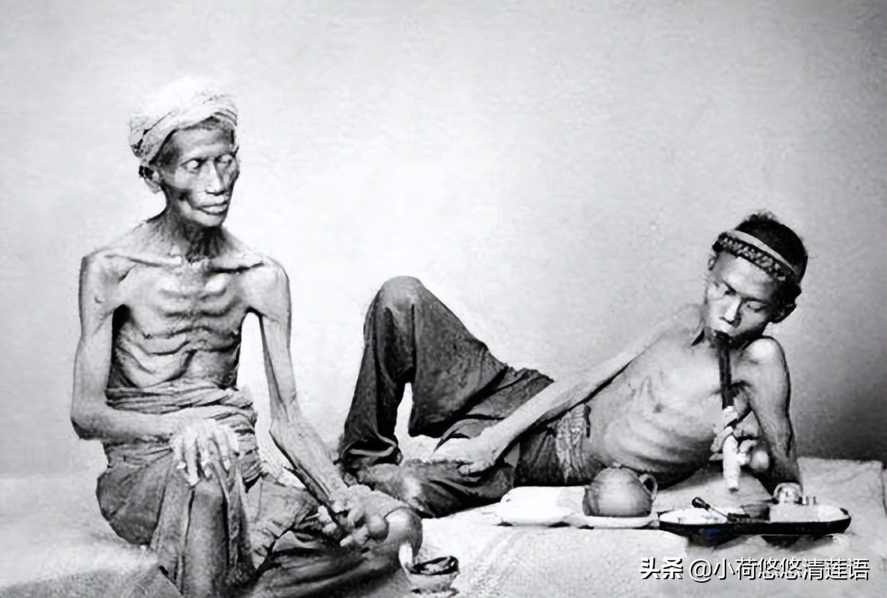 百家讲坛清朝十二帝嘉庆上集,清朝十二帝及生母