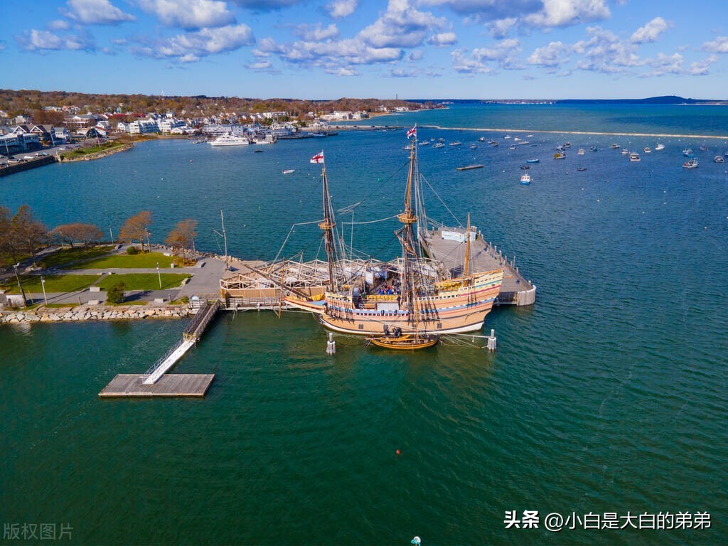 世界杯为什么有足球假踢,为什么欧洲杯都打假球