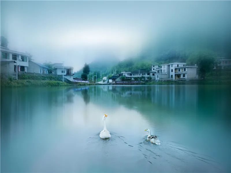 漫步林中风景如画美女似仙女,漫步美丽风景