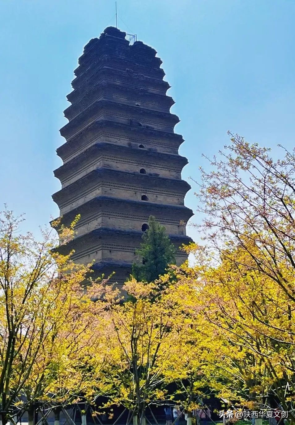 周末特种兵一日游西安,特种兵式旅游西安行