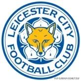 莱切斯特城vs富勒姆回放比赛结果,莱切斯特城vs富勒姆半场胜负赔率