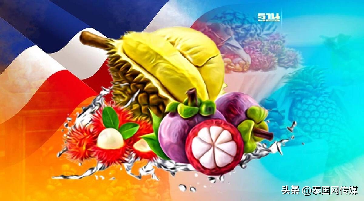 中国水果出口泰国最新政策,泰国向中国水果贸易竞争力分析