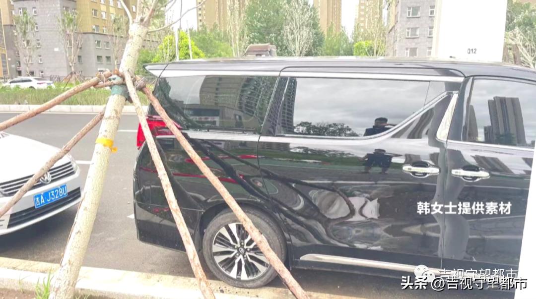 车停在小区被树砸了谁负责,车停路边被树砸伤谁负责