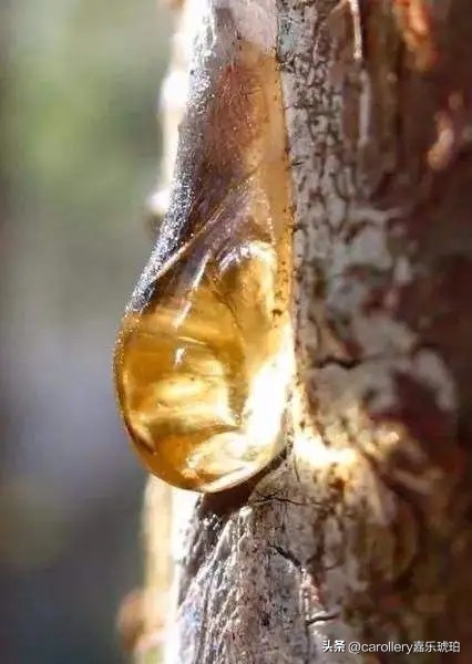 这是一个有味道的故事,这是一个有味道的视频合集