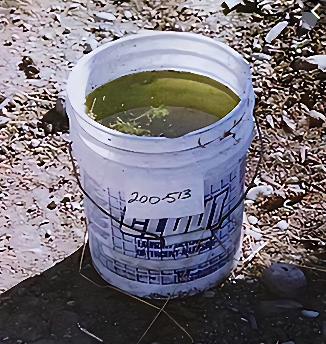 加拿大养猪场杀人事件,用受害人尸体喂猪的加拿大杀手