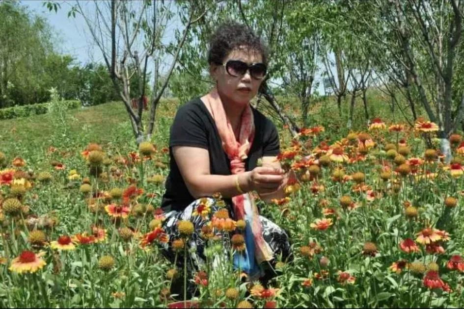 开心快乐群公告怎么写,开心快乐群聊名称