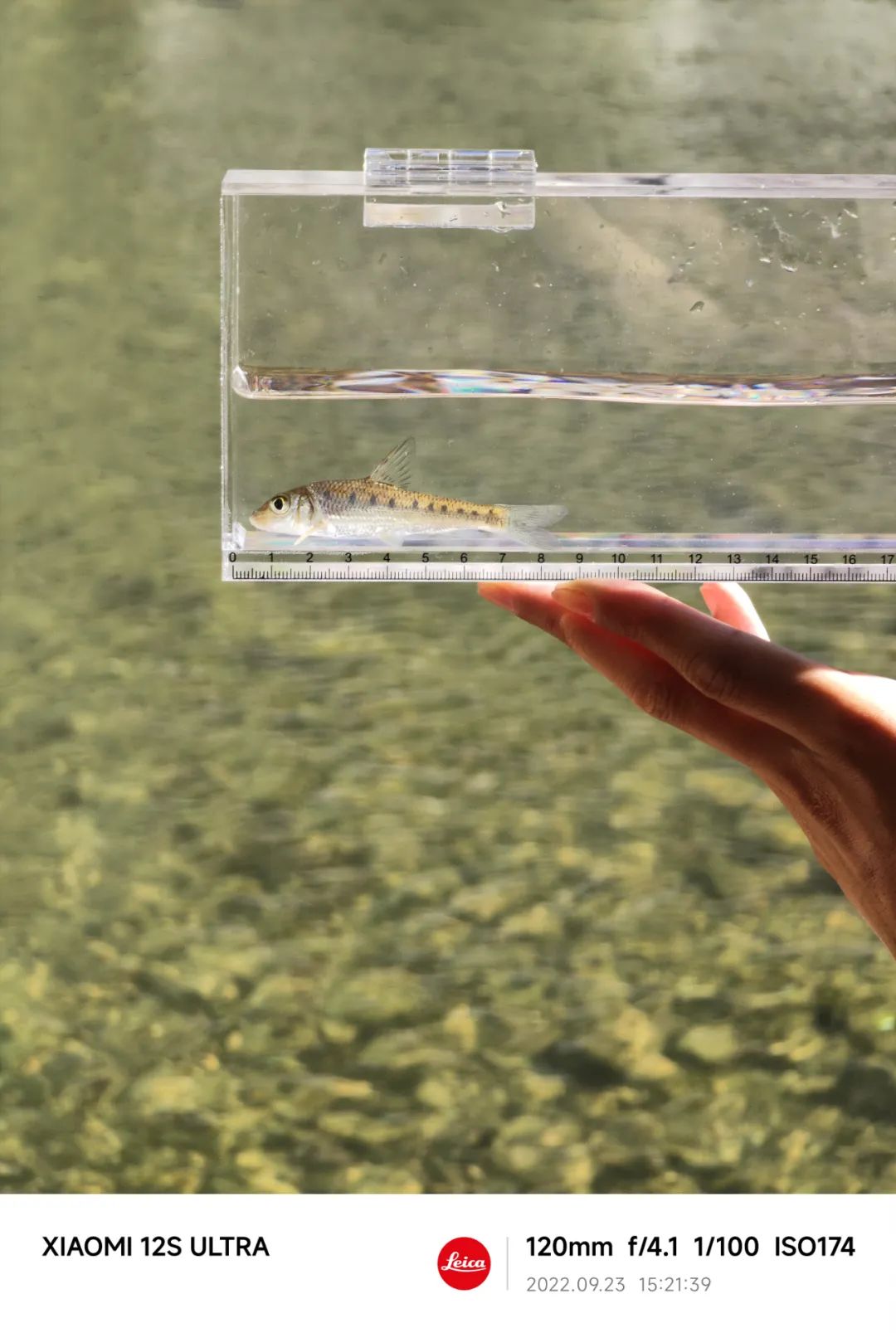 秋高气爽游玩攻略,秋高气爽旅游好时光