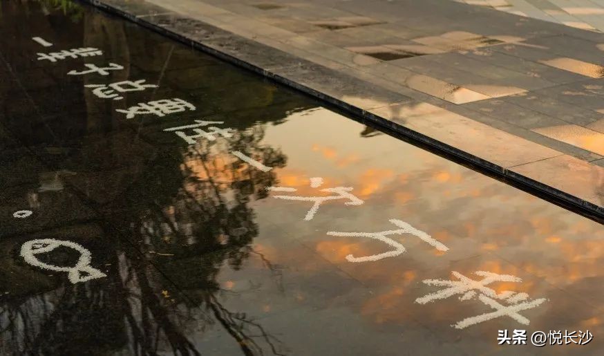 从『万科式』热销，看森林人居的高光热望！