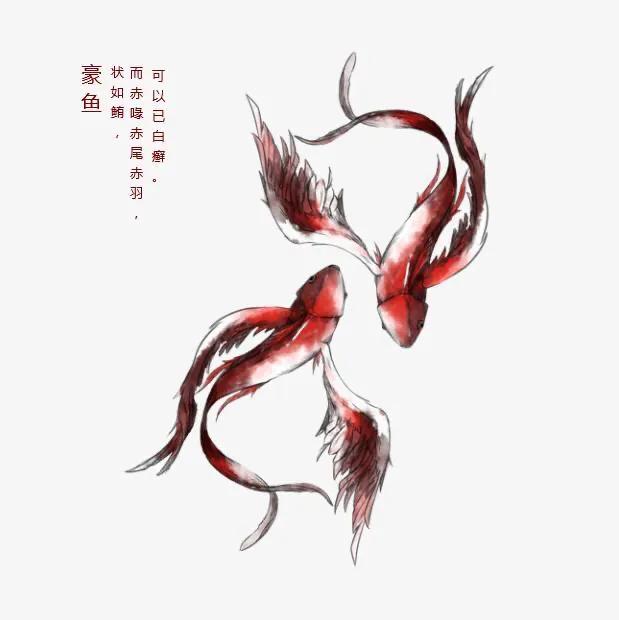 山海经南山经详细讲解,山海经中山经4