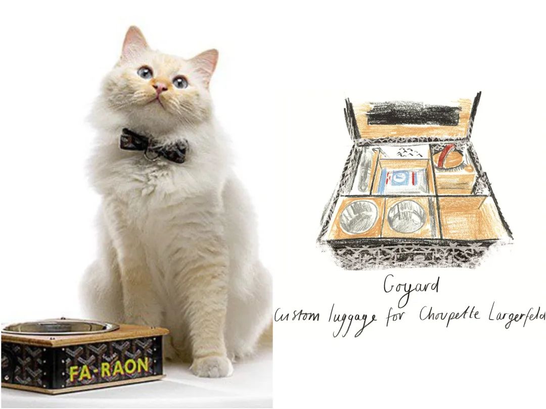 刘雯邓文迪,邓文迪杨紫琼