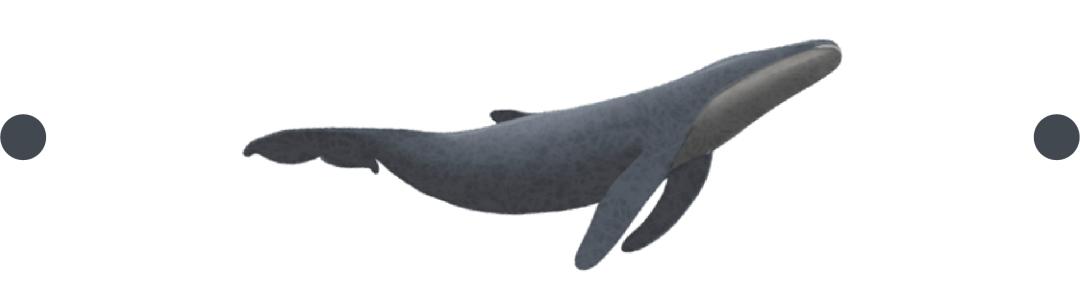 赌石直播间绿石头,揭秘赌石直播间