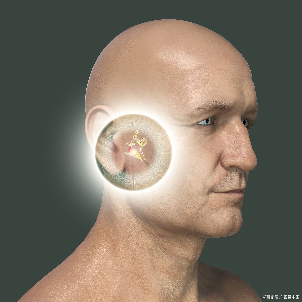 龙胆泻肝丸功效与作用祛湿气,龙胆泻肝丸有祛湿热的效果吗